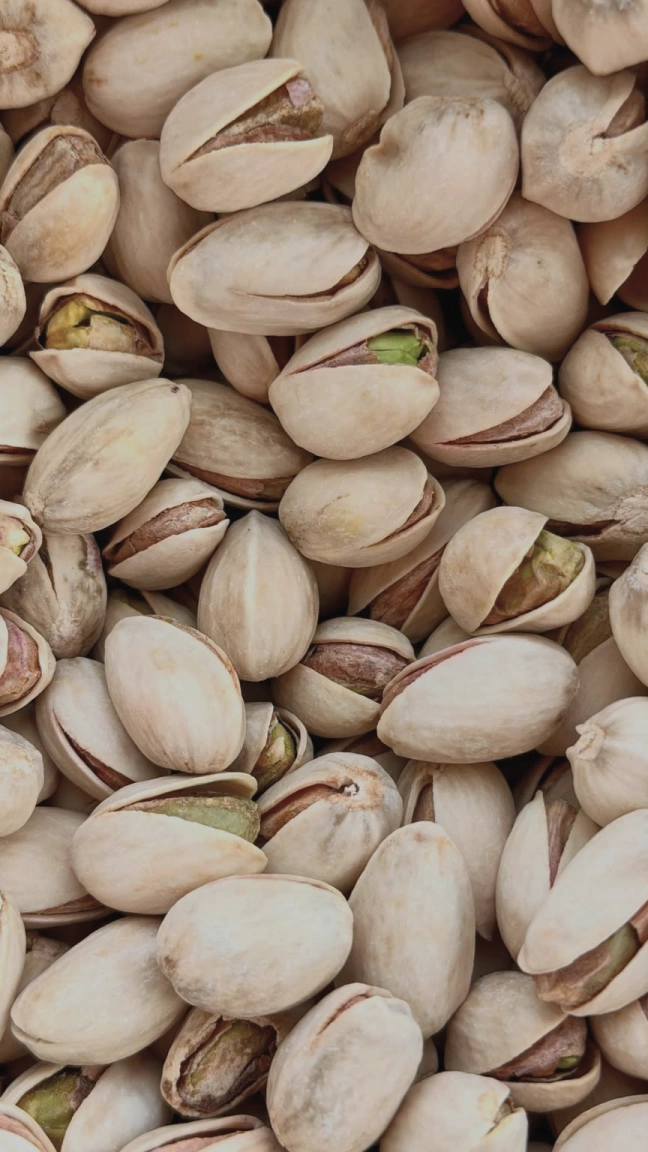 PISTACCHIO Background 5